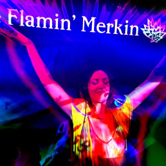 WildSoul LIVE - Flamin' Merkin's POSTCOM @ Queen of Hoxton