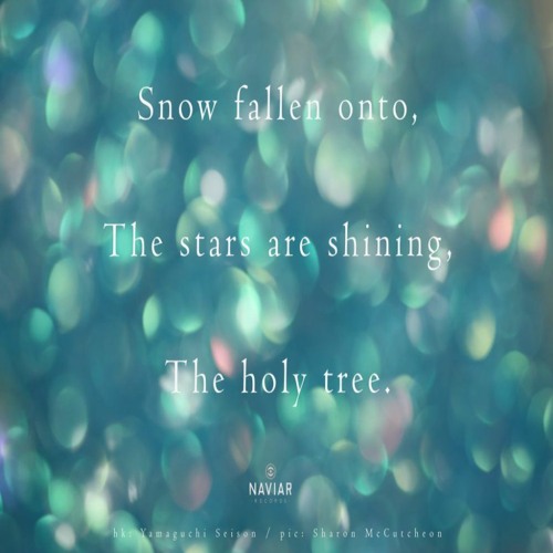 Snow fallen [naviarhaiku416]