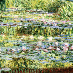 MONET