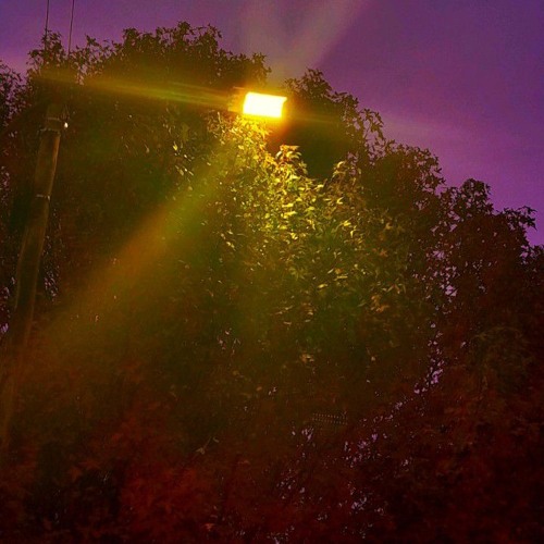 DO IT AGAIN (Feat Yung Sw3rv3) [Prod by Delight]