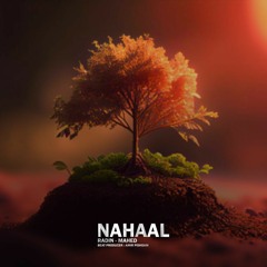 Nahaal - Radin Ft Mahed