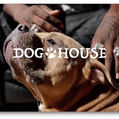 Mike Clark Jr. - Dog House