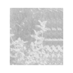 'a thought to be going on with' [LP preview]