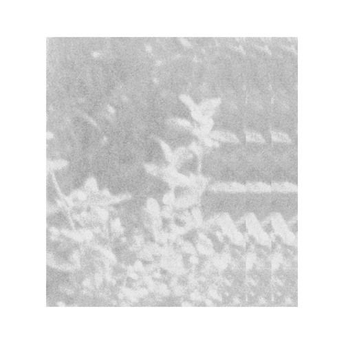 'a thought to be going on with' [LP preview]