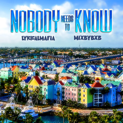 NOBODY NEEDS TO KNOW (MIXED BY XB )