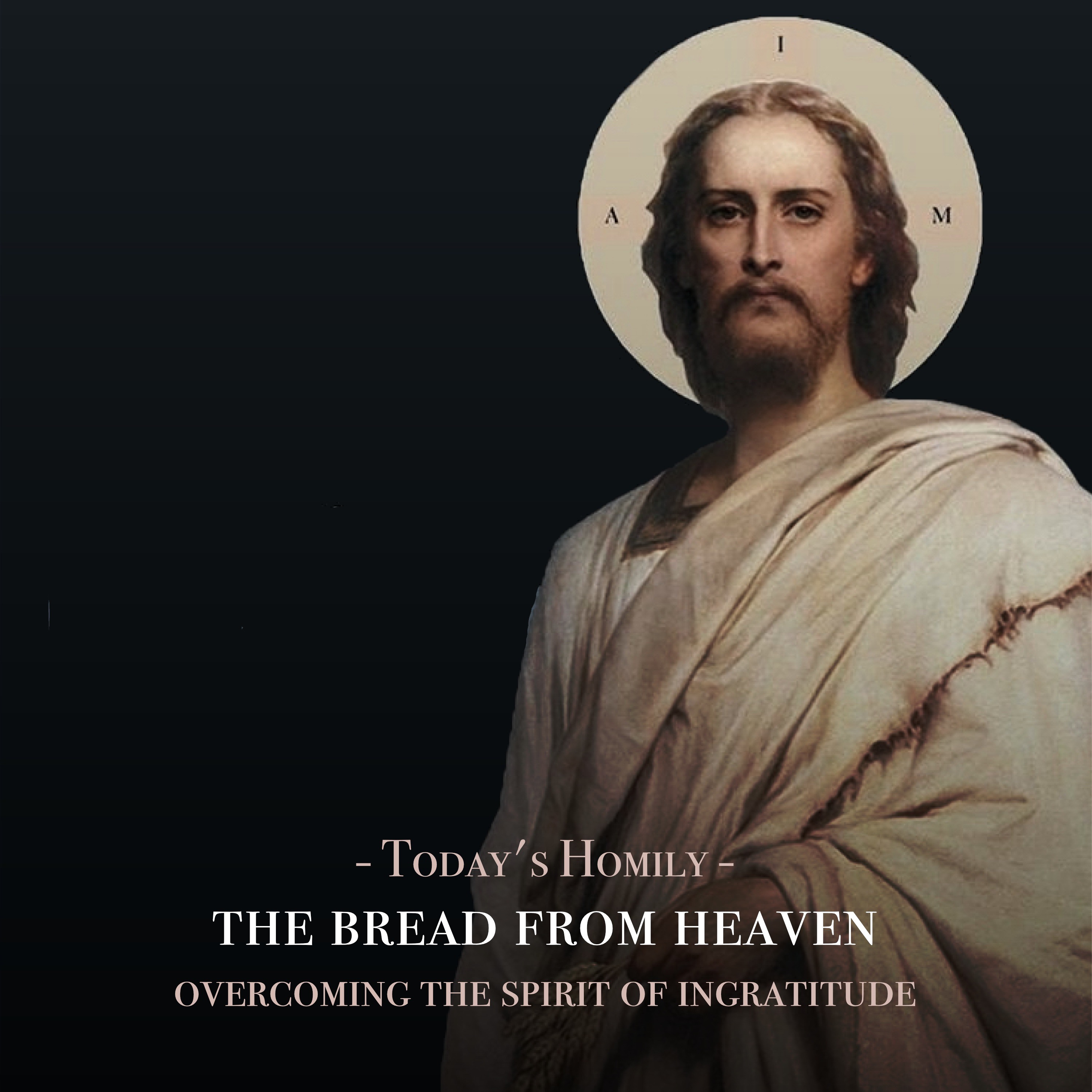 Fr. Barry Braum - Homilies and Conferences