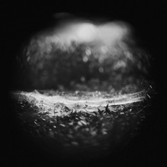 The Whole Thing In Miniature