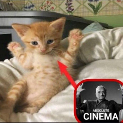 абсолют синема