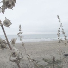 summer took you away,2