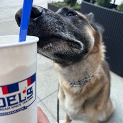 Latin Tech House Summer 2026 🔥 Club Energy Mix | SINTIGO, Me La Llevo, Pull Up