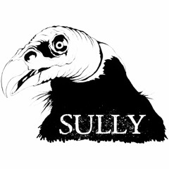 Sully - Circle The Drain