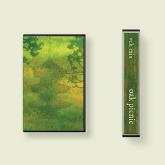 veh_mix - oak picnic. [Beattape + Cassette]
