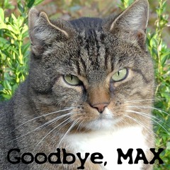 Goodbye, MAX