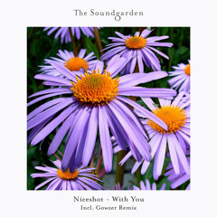 Niceshot - With You (Gowzer Extended)