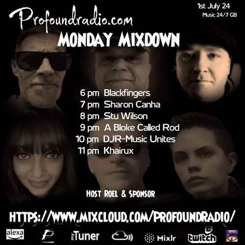 #176 Profound Radio  Progressive House  @djstuwilson