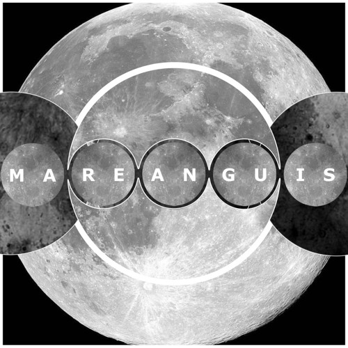 Stream Botanisant Listen to A Mare Anguis Symphony playlist online