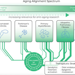 Idiopathic Pulmonary Fibrosis Identified as a Model for Anti-Aging Drug Development