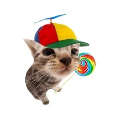lollipop