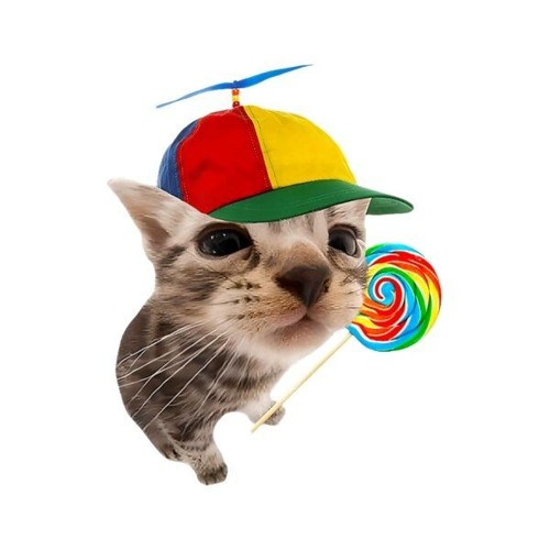 lollipop