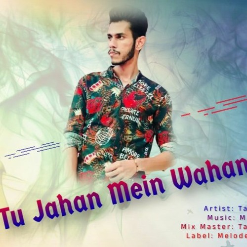Tu Jahan Mein Wahan - Tauseef Khan - New Song 2022