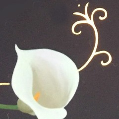 All the Sonnets of Shakespeare - Oct 2020