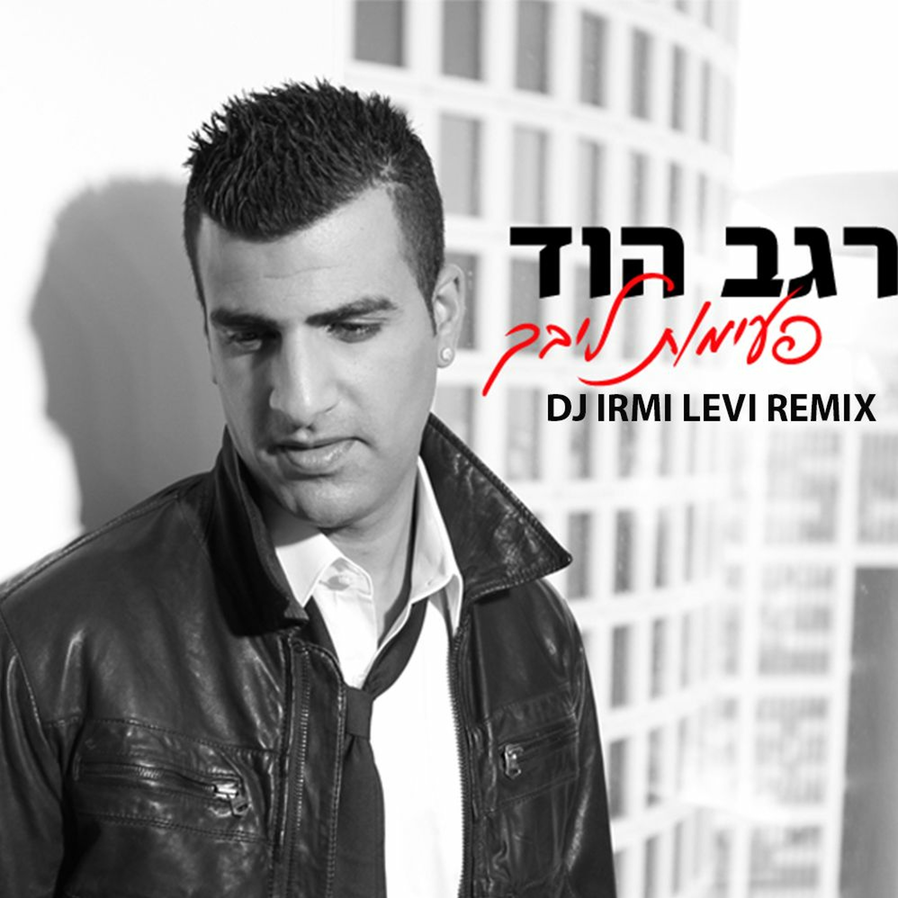 Irmi Levi