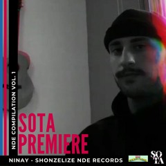 Premiere: Ninay - Shonzelize [New Day Everyday compilation vol.1]
