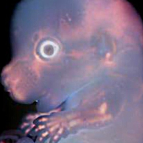 Truth in a mirror may appear closer than desired