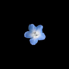 misamo - marshmallow (slowed + reverb)