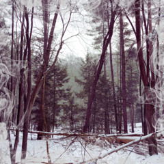 w10 v6 vox demo (Fog)