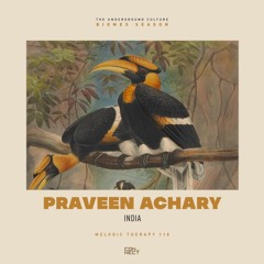 Praveen Achary @ Melodic Therapy #118 - India