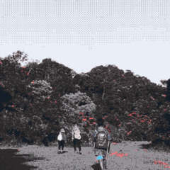 Likeflowers