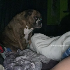 sparks - coldplay (cover with river)