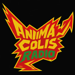 Anima Colis Radio: Ep 3 "Moments From Room 3"