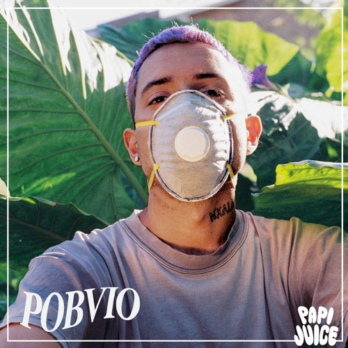 Papi Juice Mix: Pobvio