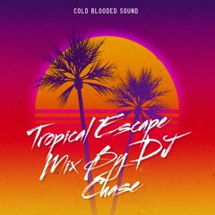 Dj Chase - Presents Beach Shorts Mix - Vol.2 [DANCEHALL RAW MIX]