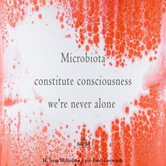 halF microbiotA [naviarhaiku441]