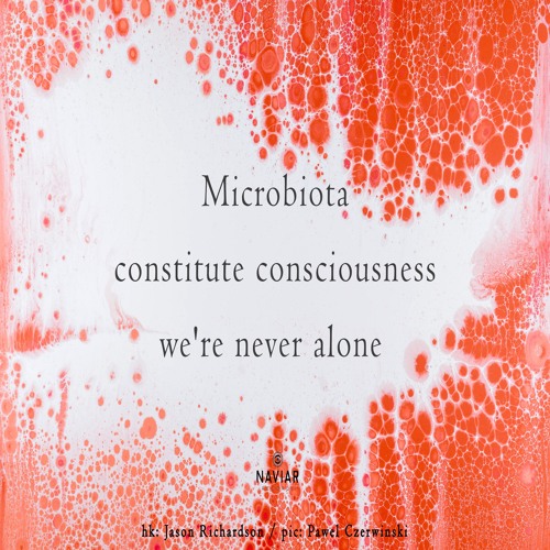 halF microbiotA [naviarhaiku441]