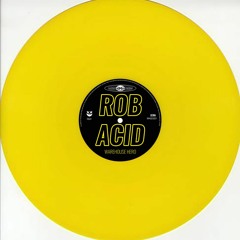 WH02/21 ROB ACID -  SNEAK PEEK - WAREHOUSE HERO - NEW Vinyl Pre Order