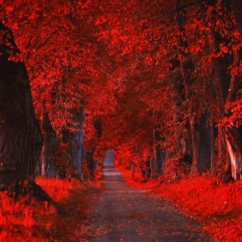my first classical music