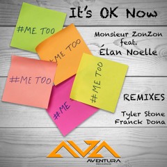 It's Ok Now (Tyler Stone Disco Radio Edit)