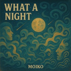 What a Night (moiko Redux)
