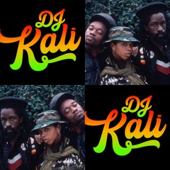 DJ Kali's Tribute to Black Uhuru Pt. 2  (100% Vinyl)