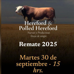 Walter Carlos Romay - Remate La Elisa