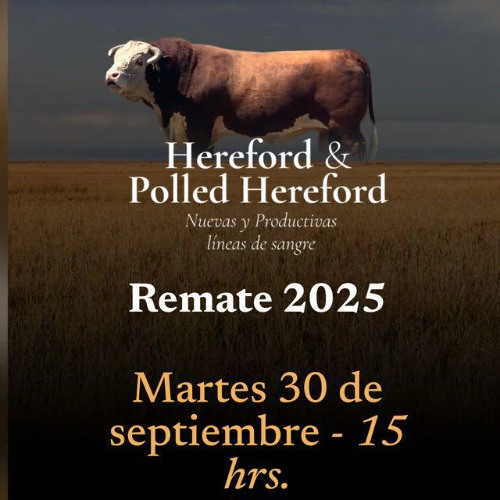 Walter Carlos Romay - Remate La Elisa