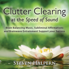 Clutter Clearing at the Speed of Sound (Part 4) [feat. Paul Horn, Mark Van Wageningen & George Marsh]