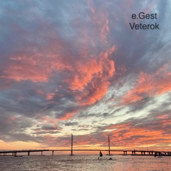 e.Gest - Veterok