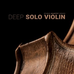 8Dio Studio Solo Violin "Captain Eiren's Adventures" By Sean Gonzales