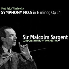 Symphony No. 5 in E Minor, Op. 64: I. Andante. Allegro con anima