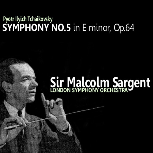 Symphony No. 5 in E Minor, Op. 64: I. Andante. Allegro con anima